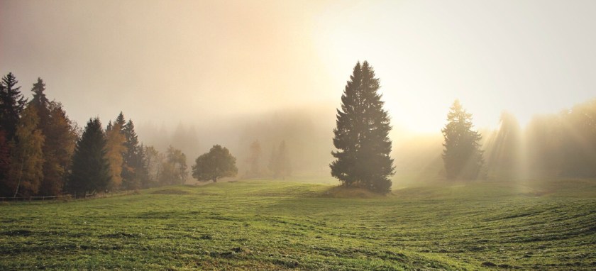 98410612-850D-4D28-ADDC-F8705C5CDD80