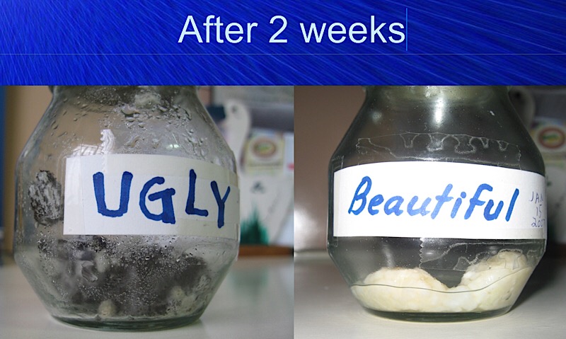 C6D69D71-F6D0-4516-9B8E-8F5F29028A9F